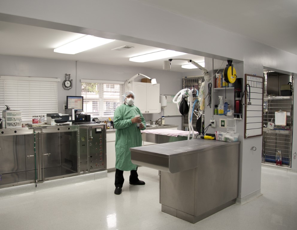 5D Health Protection Group Ltd Veterinary Medicine