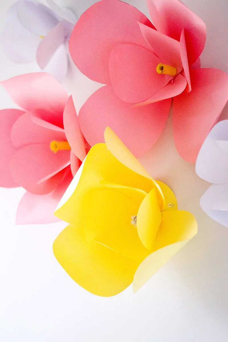 Make Paper Flowers For Wall Best Flower Site