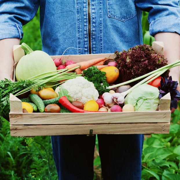 10 alimentos que se pueden congelar y tal vez no lo sabías