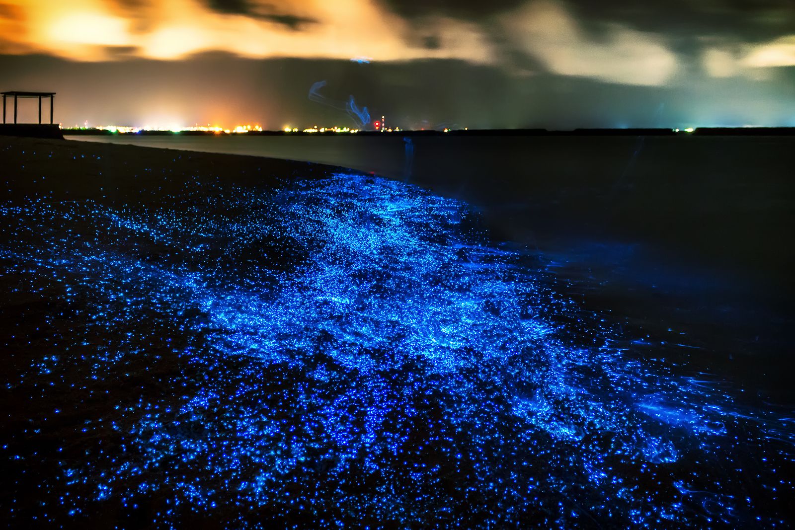 Playas de México que brillan en la oscuridad