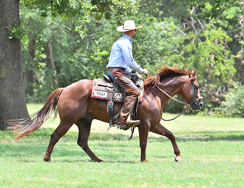Coronel Del Rancho 6666 Ranch