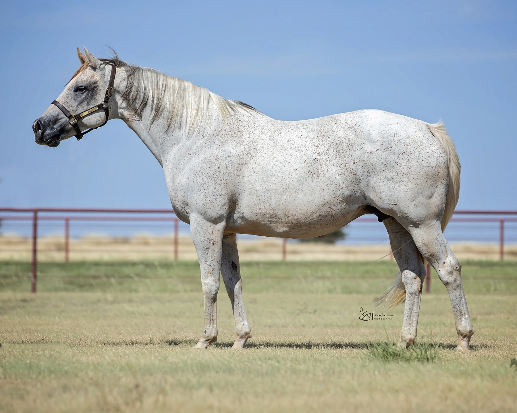 Triangle Sales Fall Sale 6666 Ranch