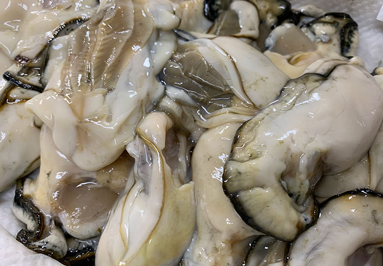 【福袋セール】 坂越かき むき身500g×2 サムライオイスター お届け