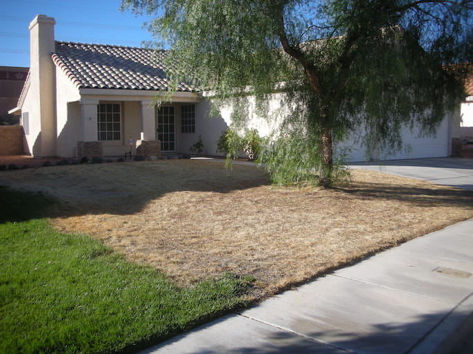 Landscaping Removal & Landscape Demolition in Las Vegas 702 DEMO