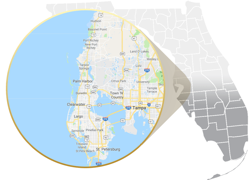 Book a Free Consultation Pinellas County, FL