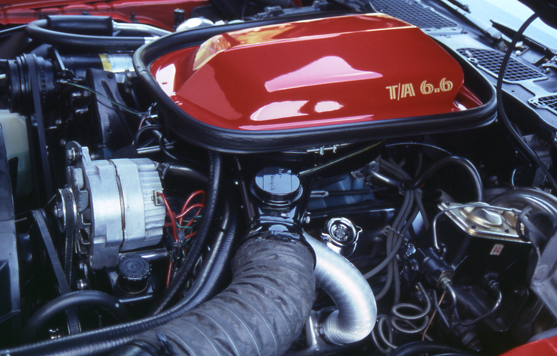Hitman's Pontiac Trans Am Site T/A 6.6 Or 6.6 Litre