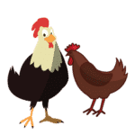 Farm Animals List: Domestic Animals Names with Pictures 15