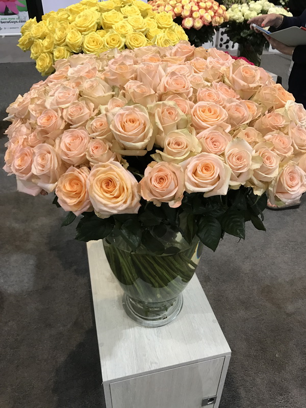 Roses on Sale 50 Off Roses Orange County Wholesale Flowers Newport