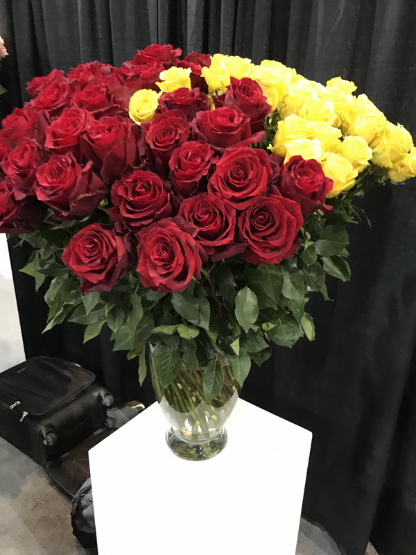 Roses on Sale 50 Off Roses Orange County Wholesale Flowers Newport