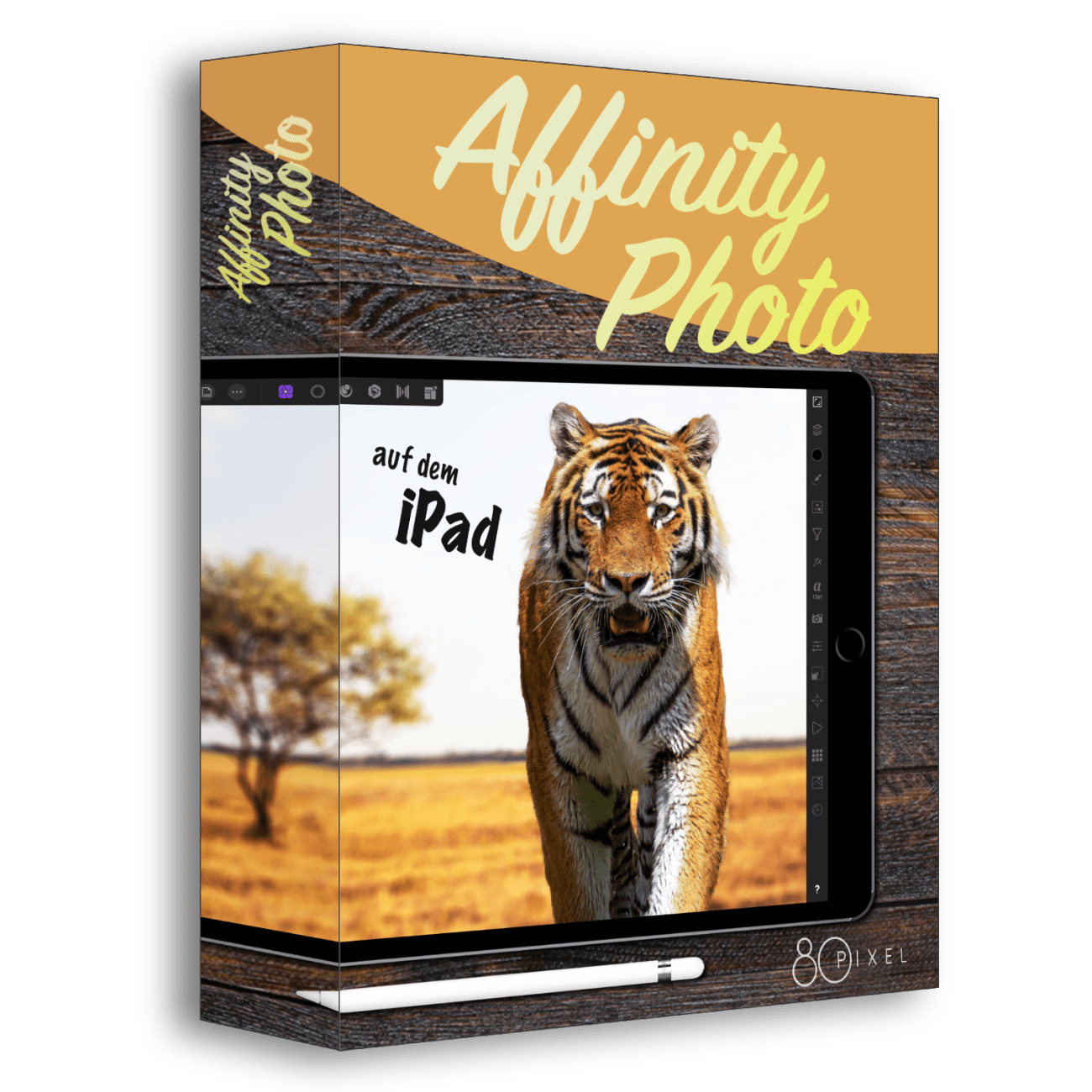 Affinity Photo auf dem iPad Videokurs 80PIXEL