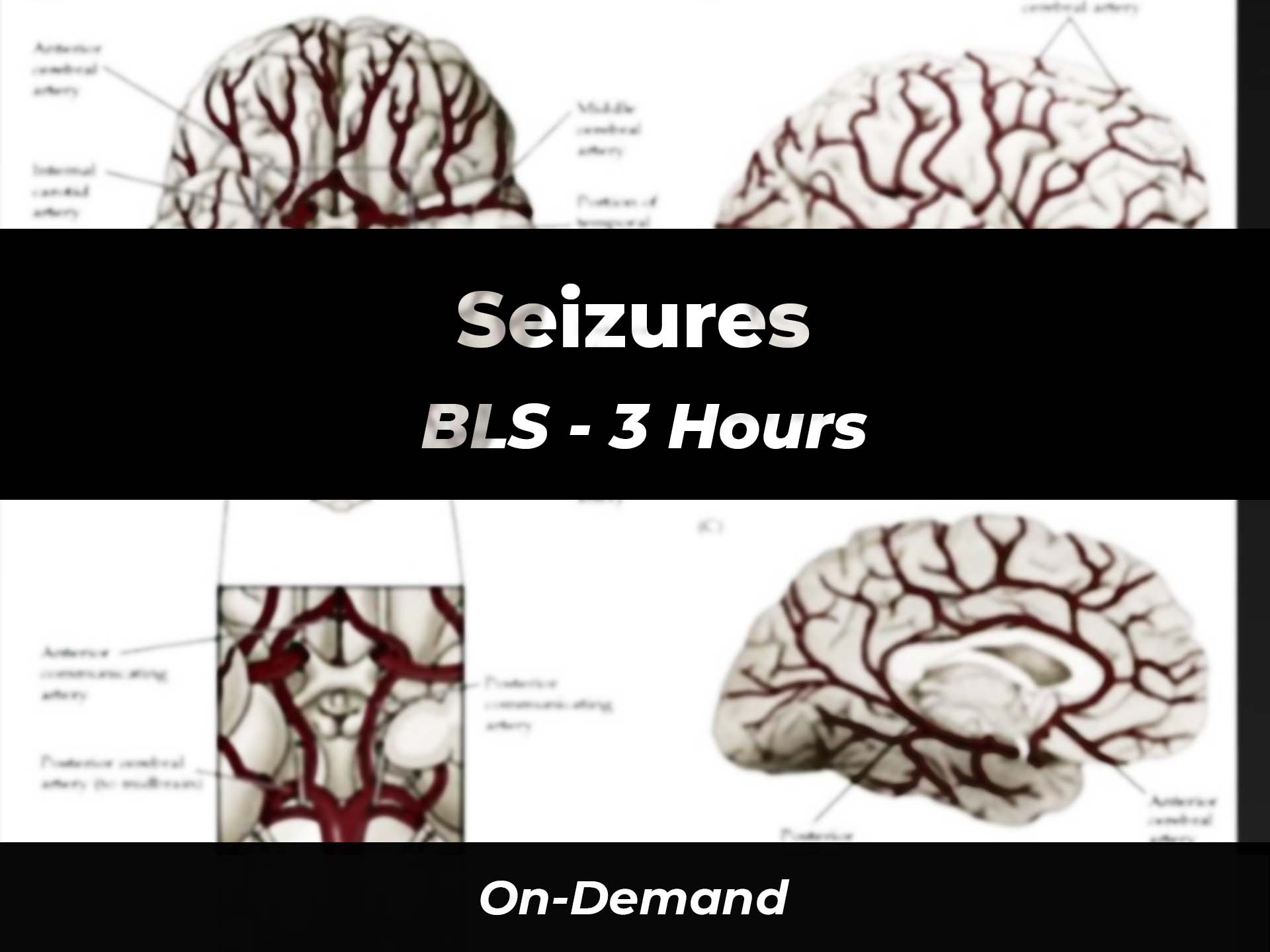 Seizures BLS 911 eLearning Solutions, LLC