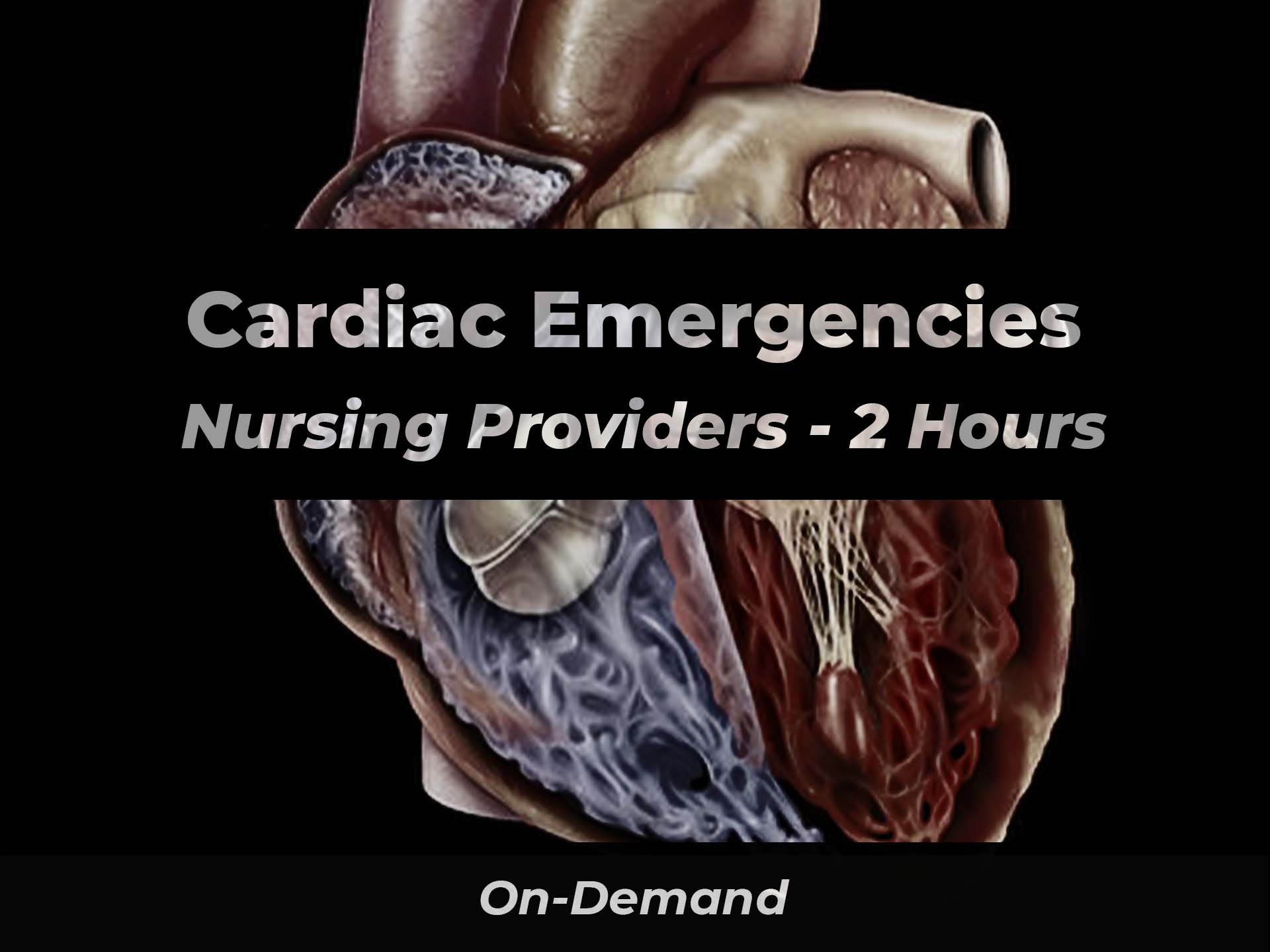 Cardiac Emergencies for the Nursing Provider 911 eLearning Solutions