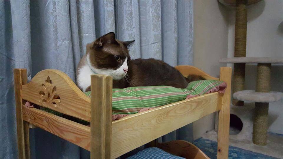 Pallet Cat Bunk Bed 99 Pallets