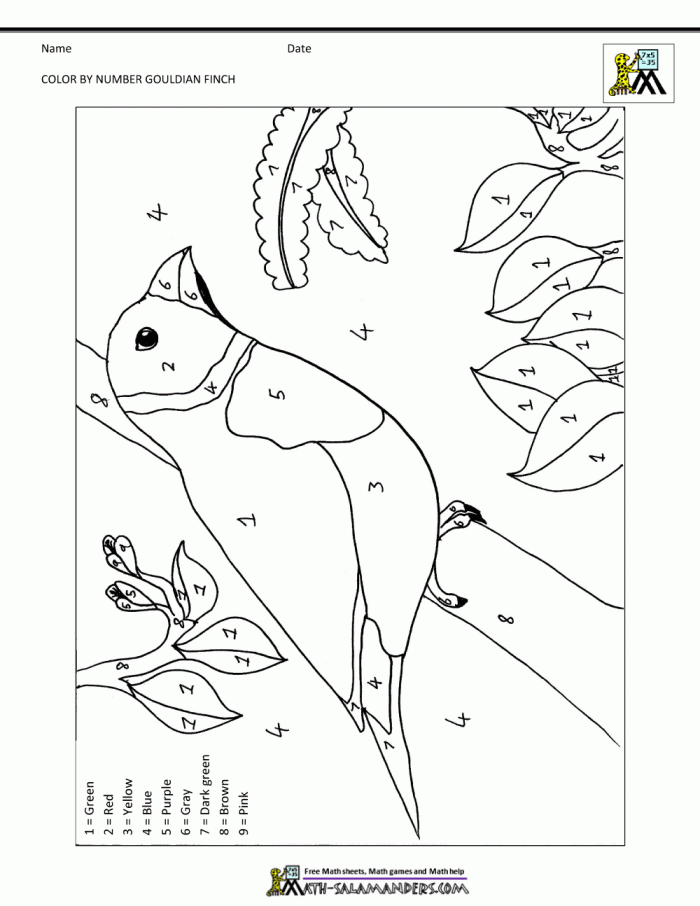 ColorByNumber Parrot Worksheets 99Worksheets