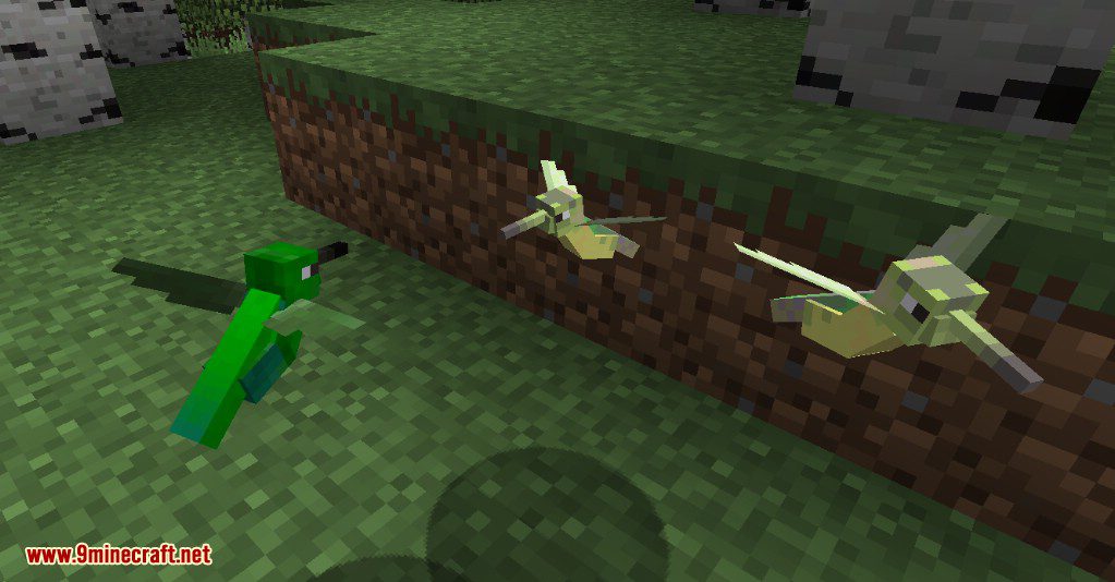 Exotic Birds Mod 1.12.2/1.11.2 (Birds Take Over Minecraft)