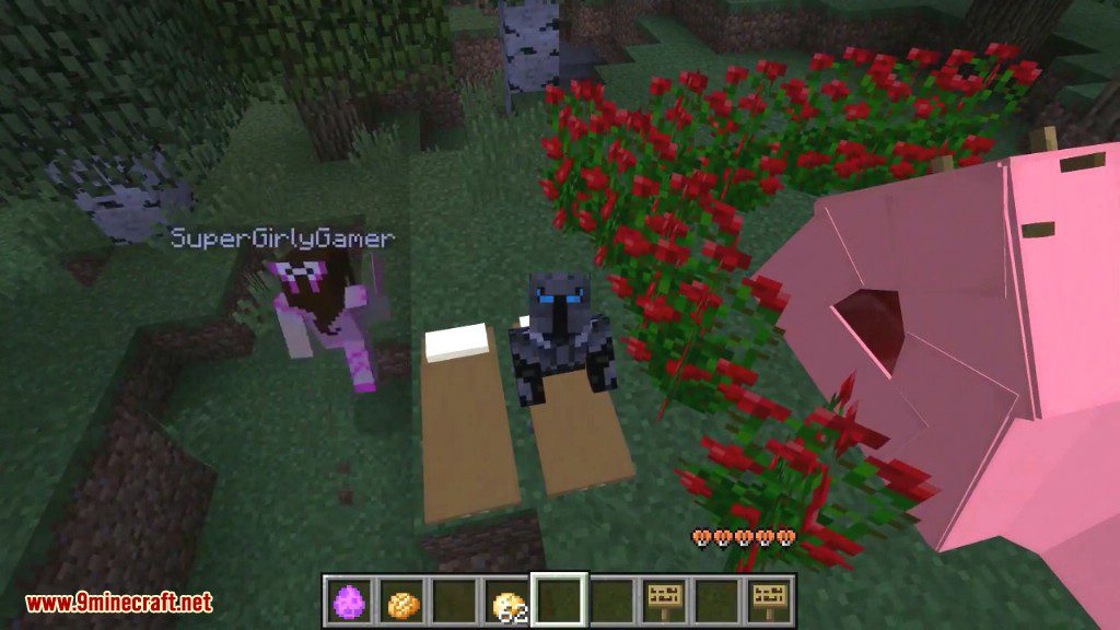 Sleeping Bag Mod 1.10.2 Download