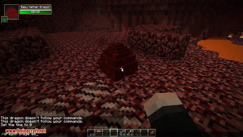 Dragon Mounts Mod 1.10.2/1.7.10 (Ride, Tame Dragons)