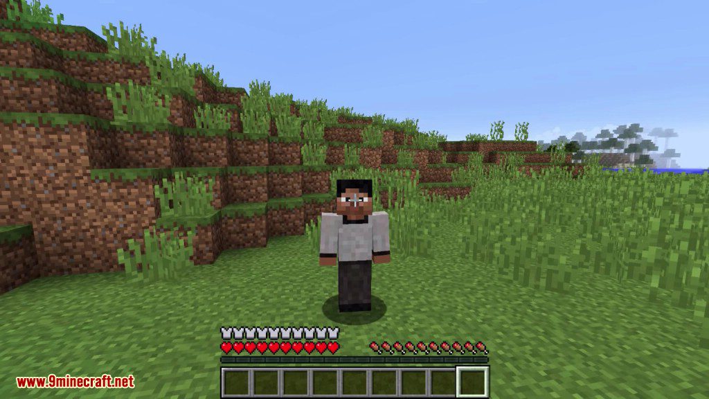 Cosmetic Armor Reworked Mod 1.16.5/1.15.2 Anything