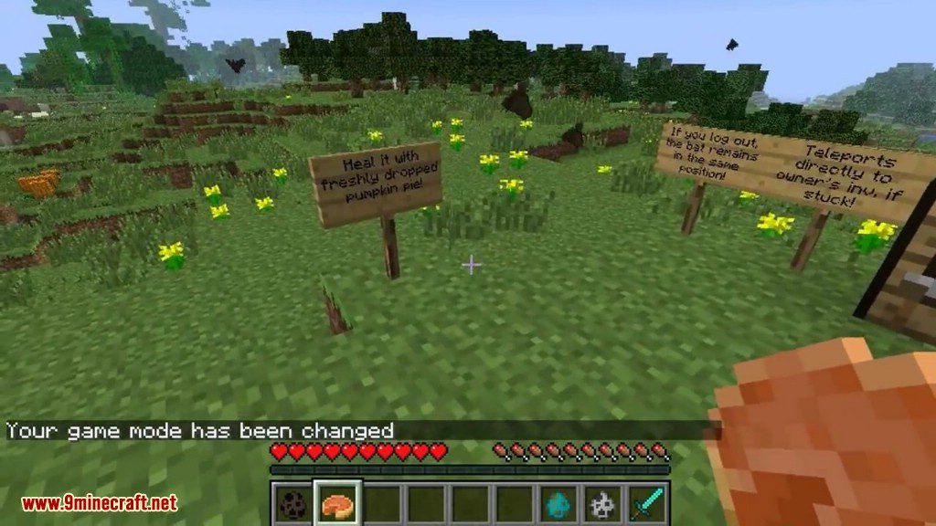 Minecraft Command Kill All Bats Tadhg Ware