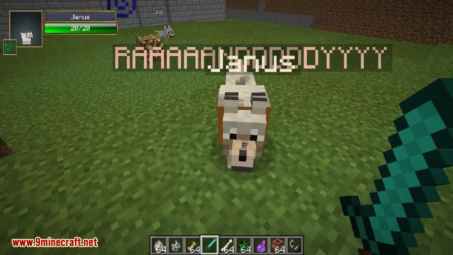 Sophisticated Wolves Mod 1.12.2/1.11.2 (Better Pets)