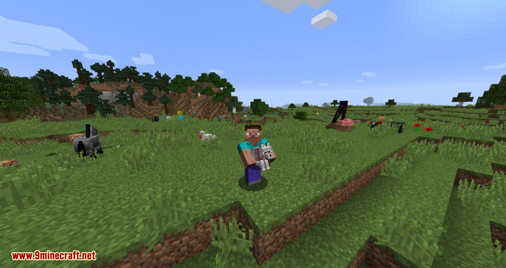 Carry On Mod (1.21.1, 1.20.1) Pick Up Blocks, Mobs in Your Hand