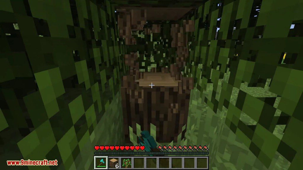 Fast Leave Decay Mod 1.14.3/1.12.2 (Quick Leaf Decay