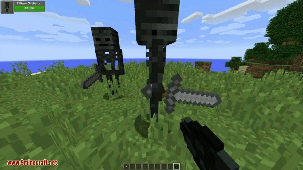 Wither Skeleton Tweaks Mod 1.16.5/1.15.2 (Update Several Attributes