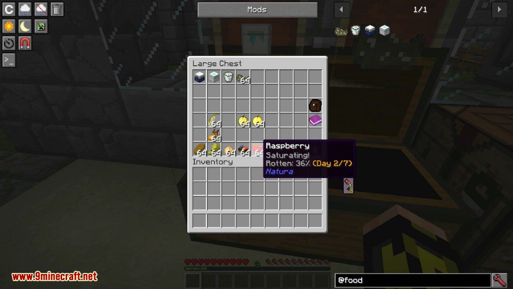 Food Funk Mod 1.12.2 (Now Your Food Can