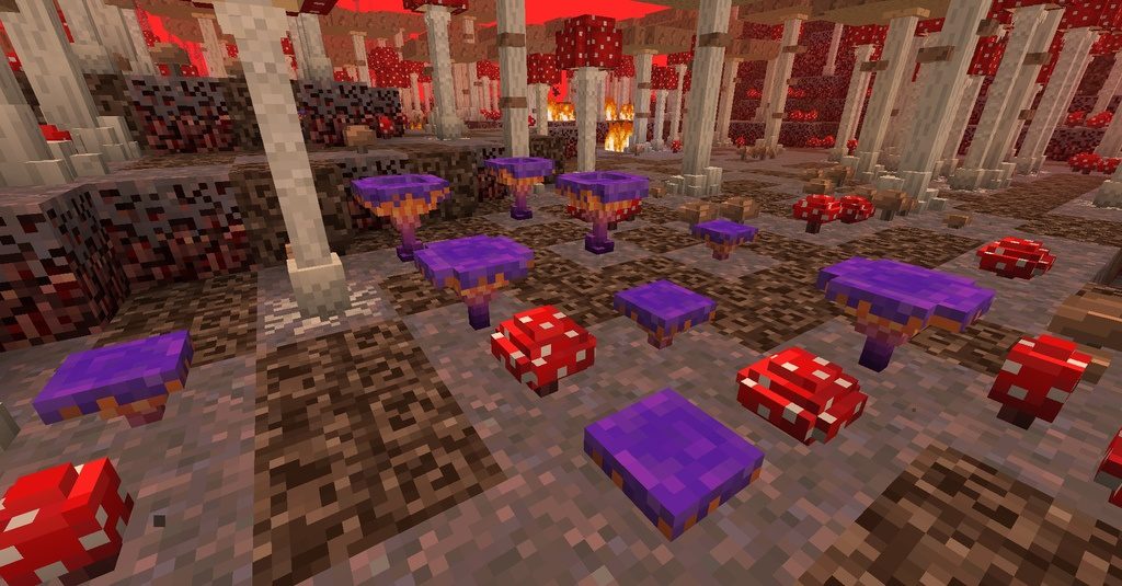 Better Nether Mod 1.17.1/1.16.5 (Never Seen It Before)