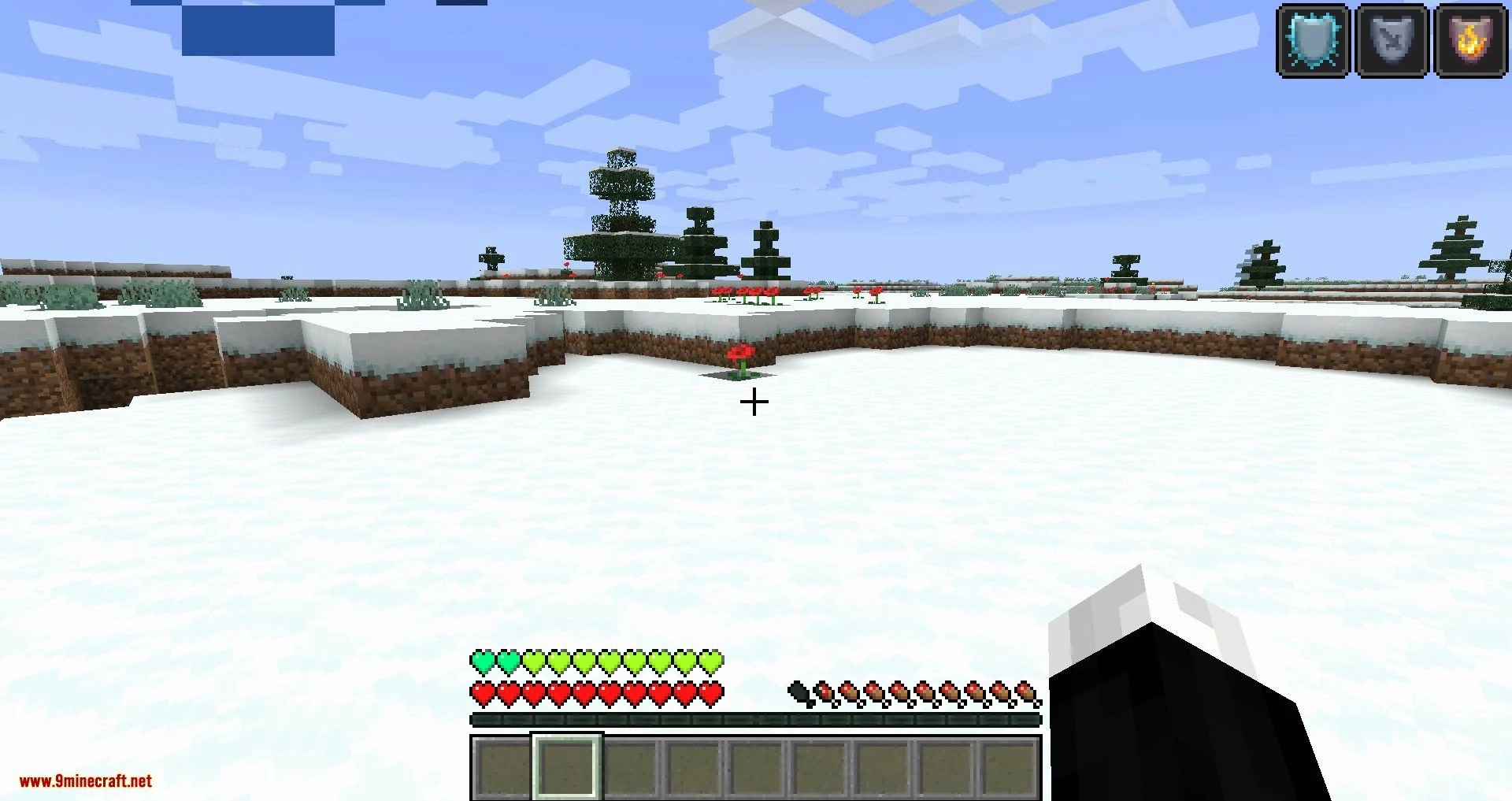 Health Overlay Mod 1.16.4/1.15.2 (Displays Hearts in Different Colors