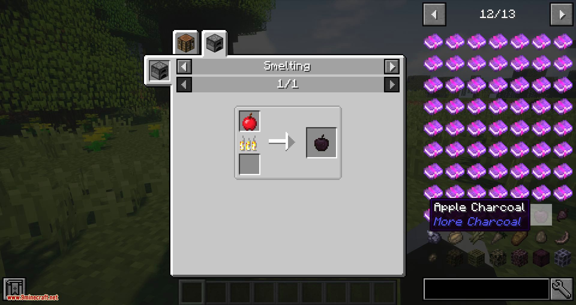 More Charcoal Mod 1.16.5/1.15.2 (Charcoal Based on Items