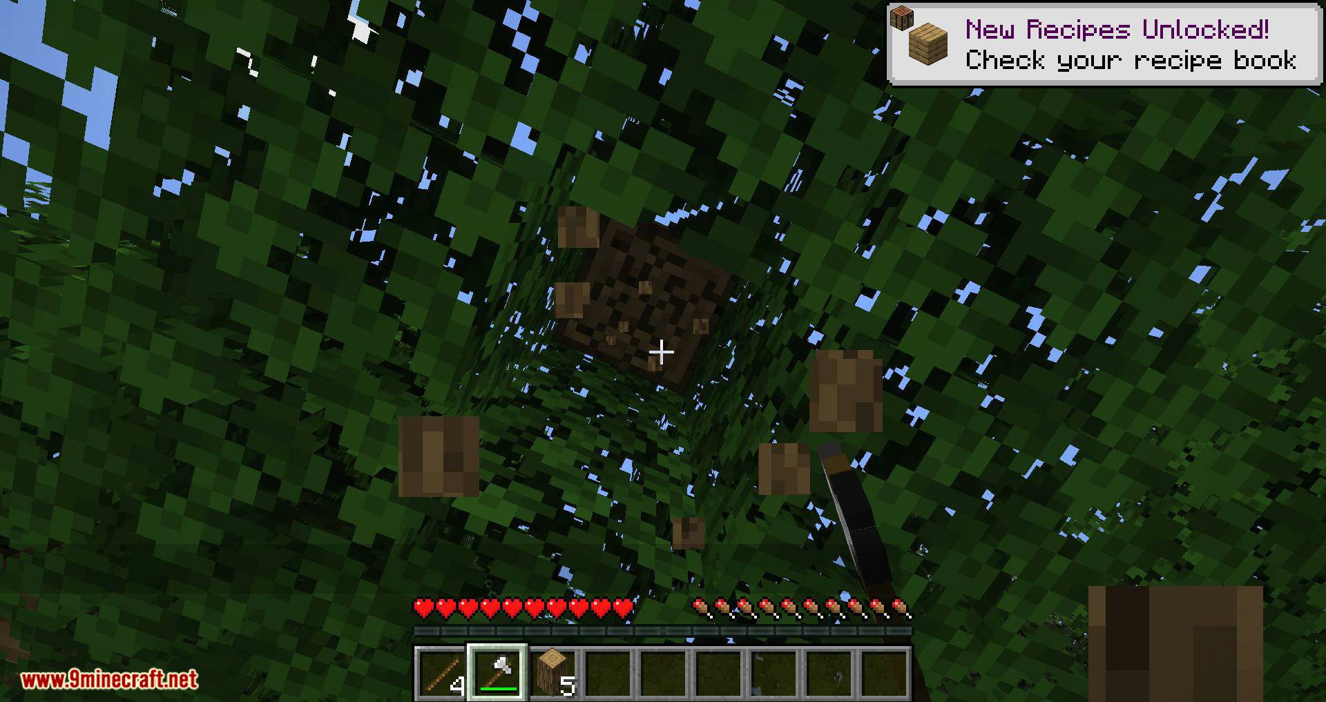 Leaf Decay Mod 1.14.4 (Quick Leaf Decay for Fabric