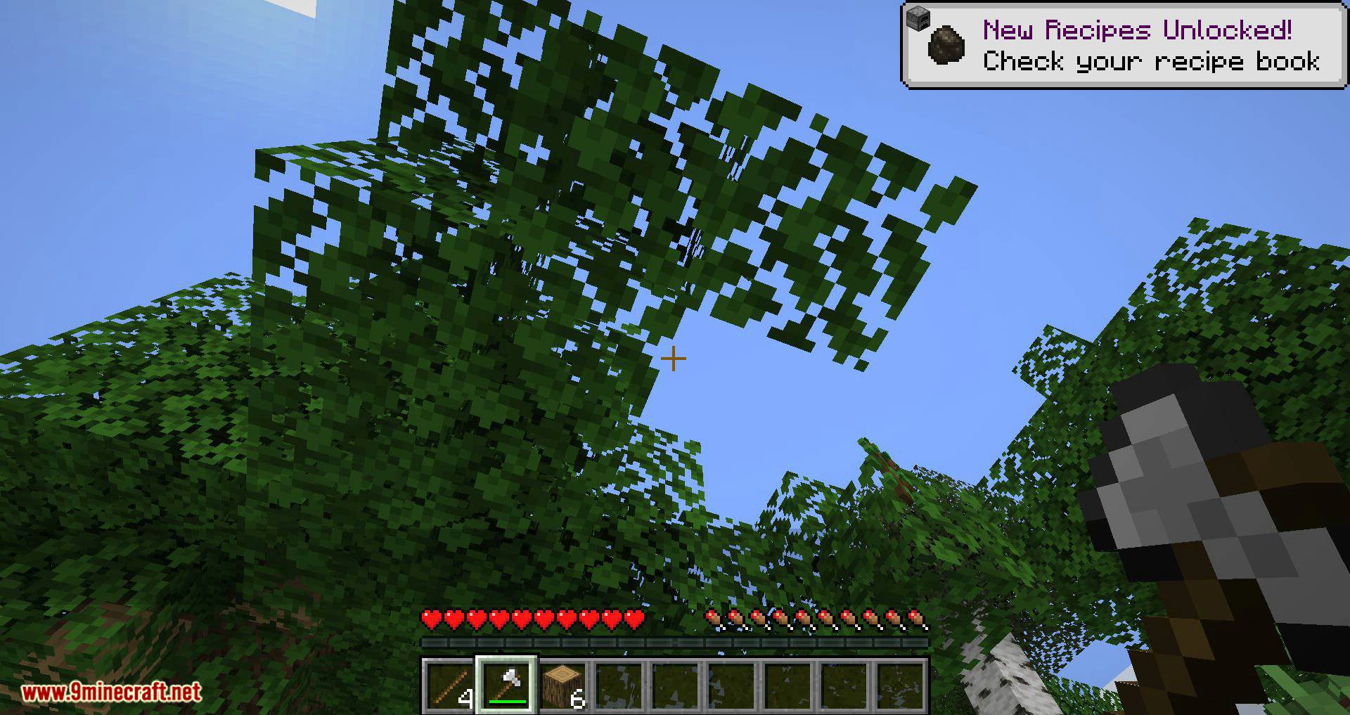 Leaf Decay Mod 1.16.2/1.14.4 (Quick Leaf Decay for Fabric