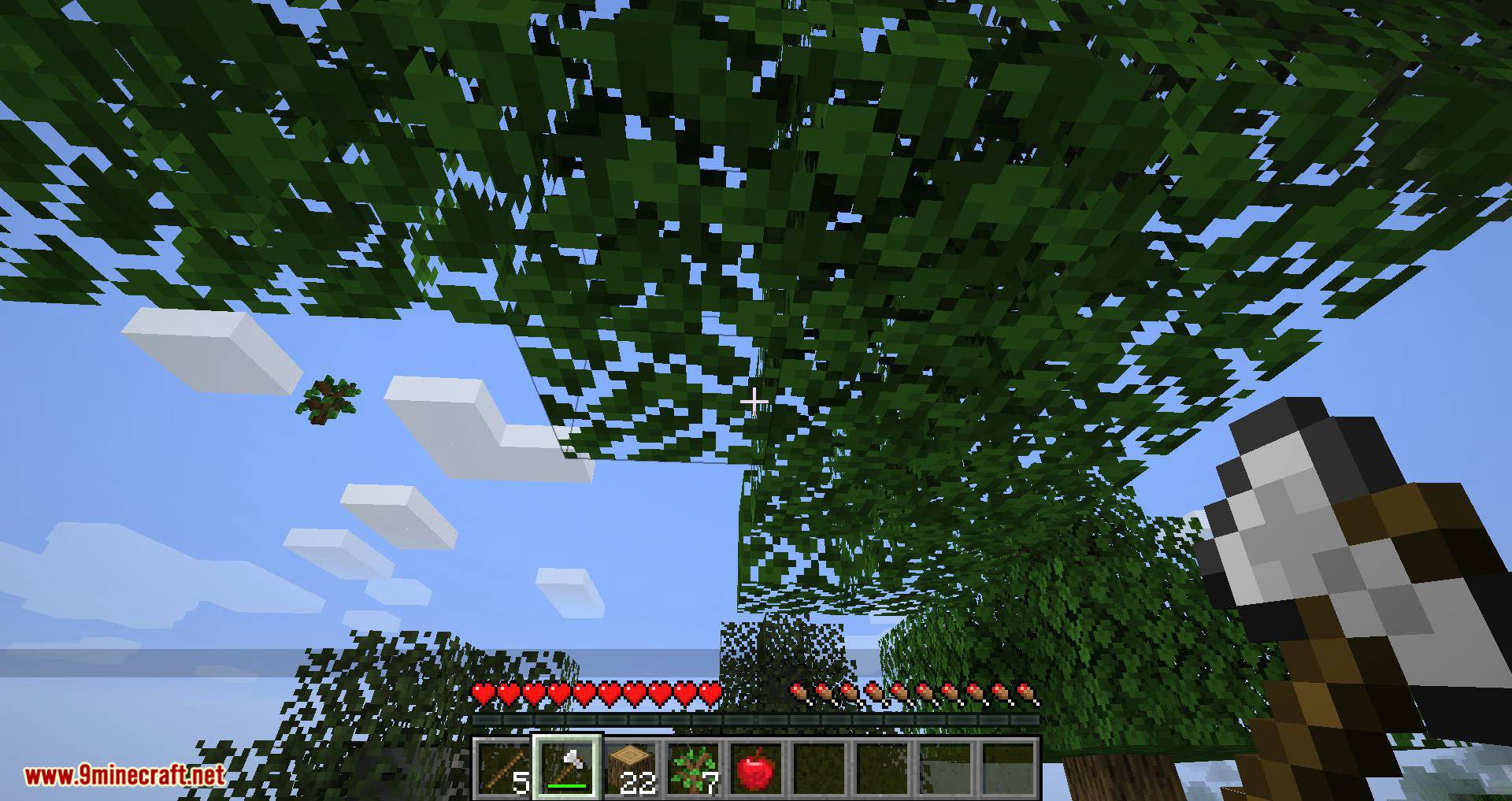Leaf Decay Mod 1.16.2/1.14.4 (Quick Leaf Decay for Fabric