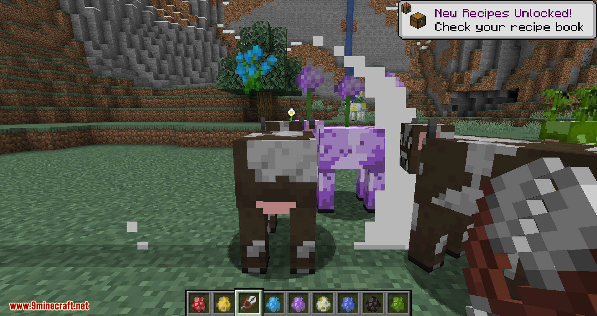Balm (Forge Edition) issues Minecraft CurseFire