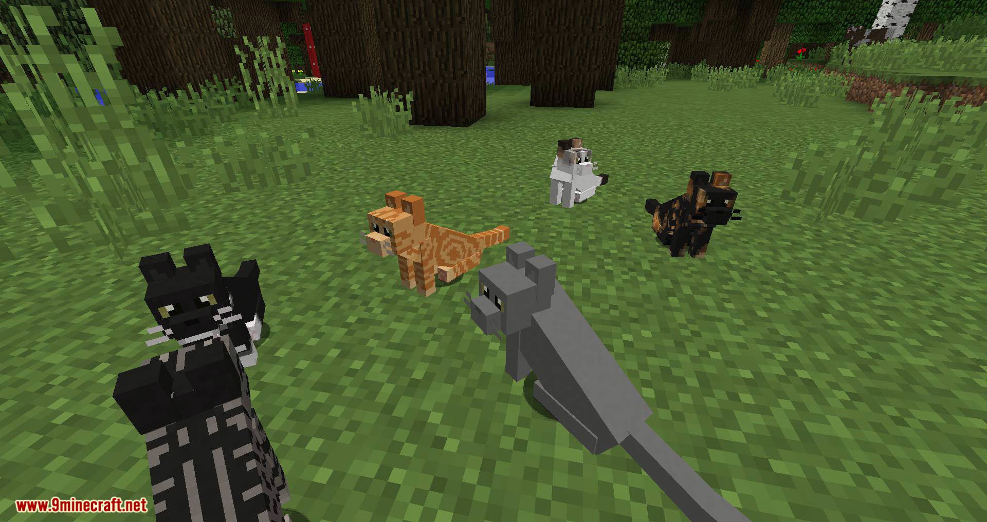 Simply Cats Mod 1.12.2 (Adds a Ton of Different Colored Cats