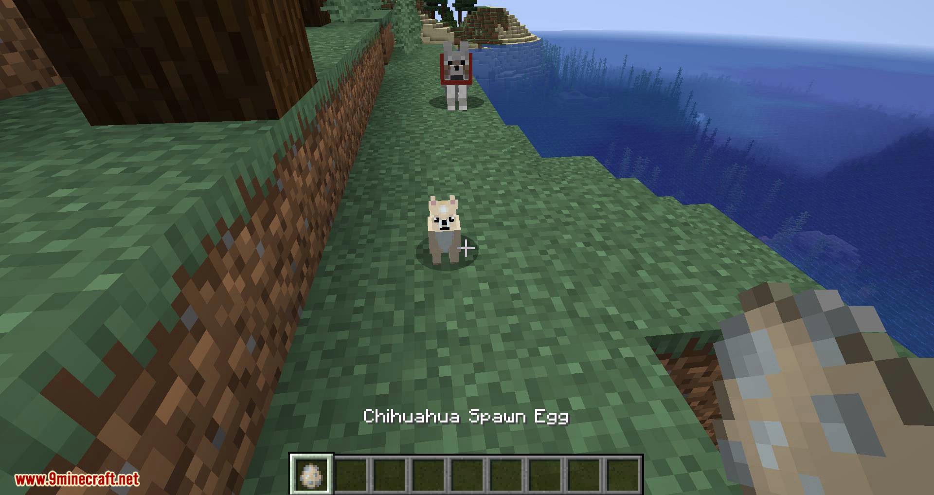More Dogs Mod 1.15.2/1.14.4 (More Dog Breeds to Minecraft