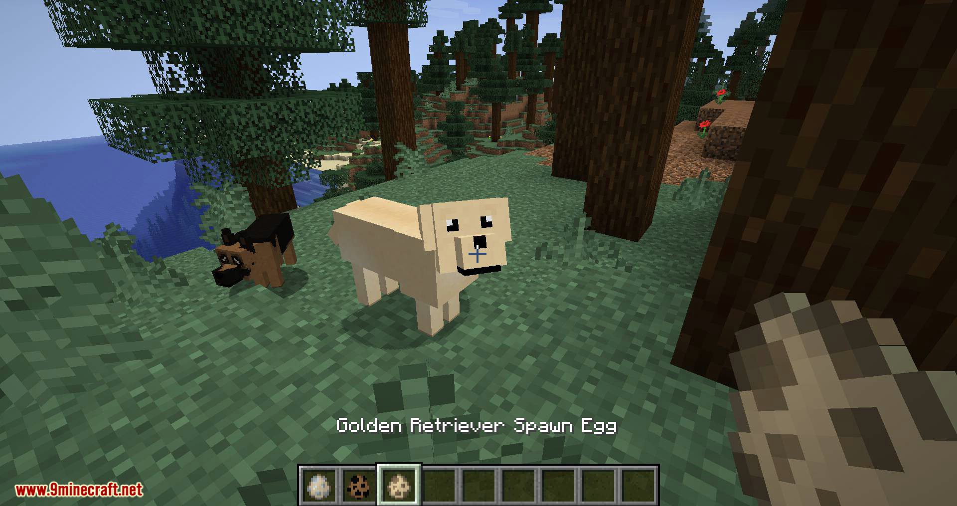 More Dogs Mod 1.15.2/1.14.4 (More Dog Breeds to Minecraft