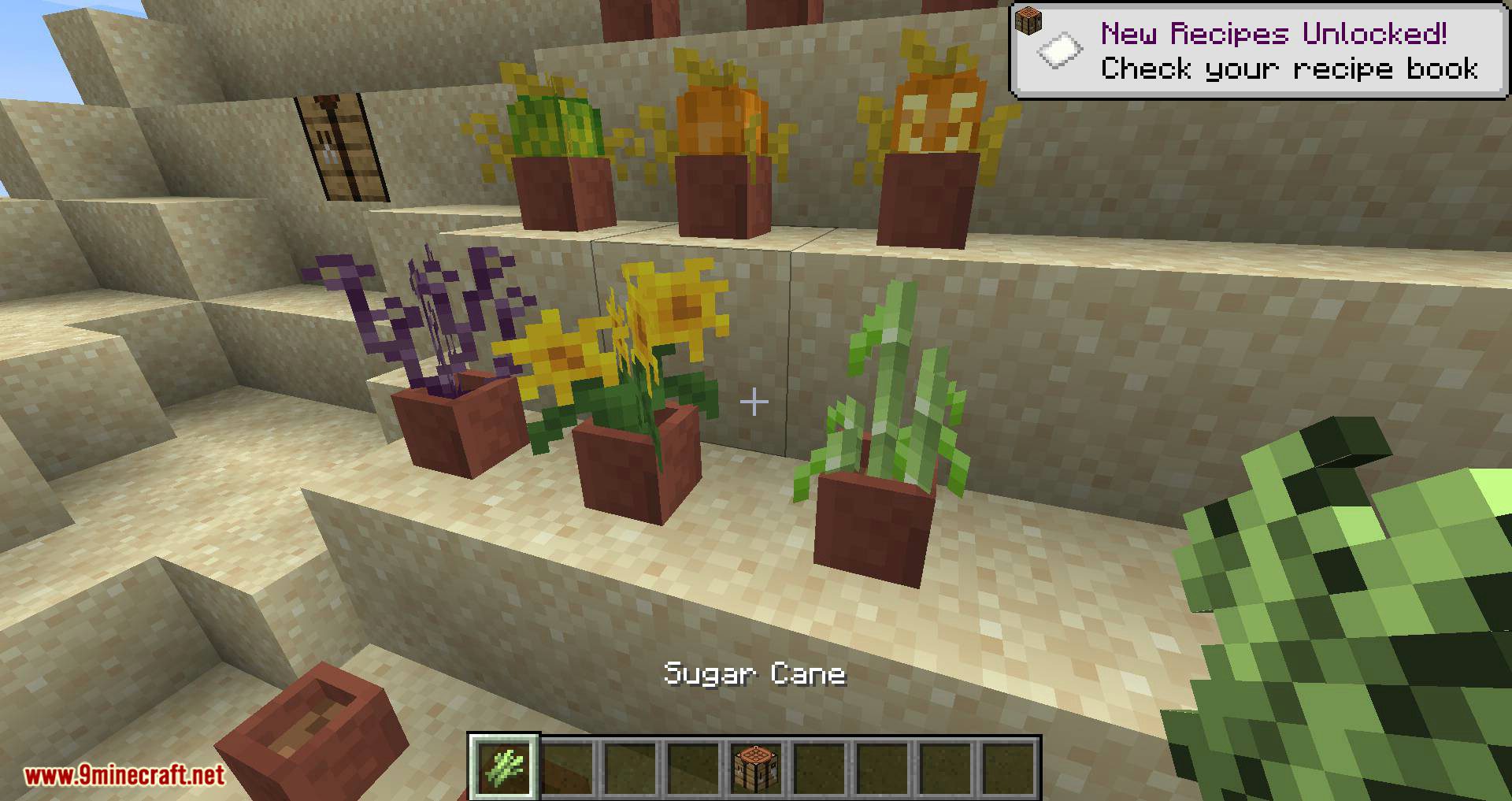 dravenskin All Types Of Flowers In Minecraft Where To Find All