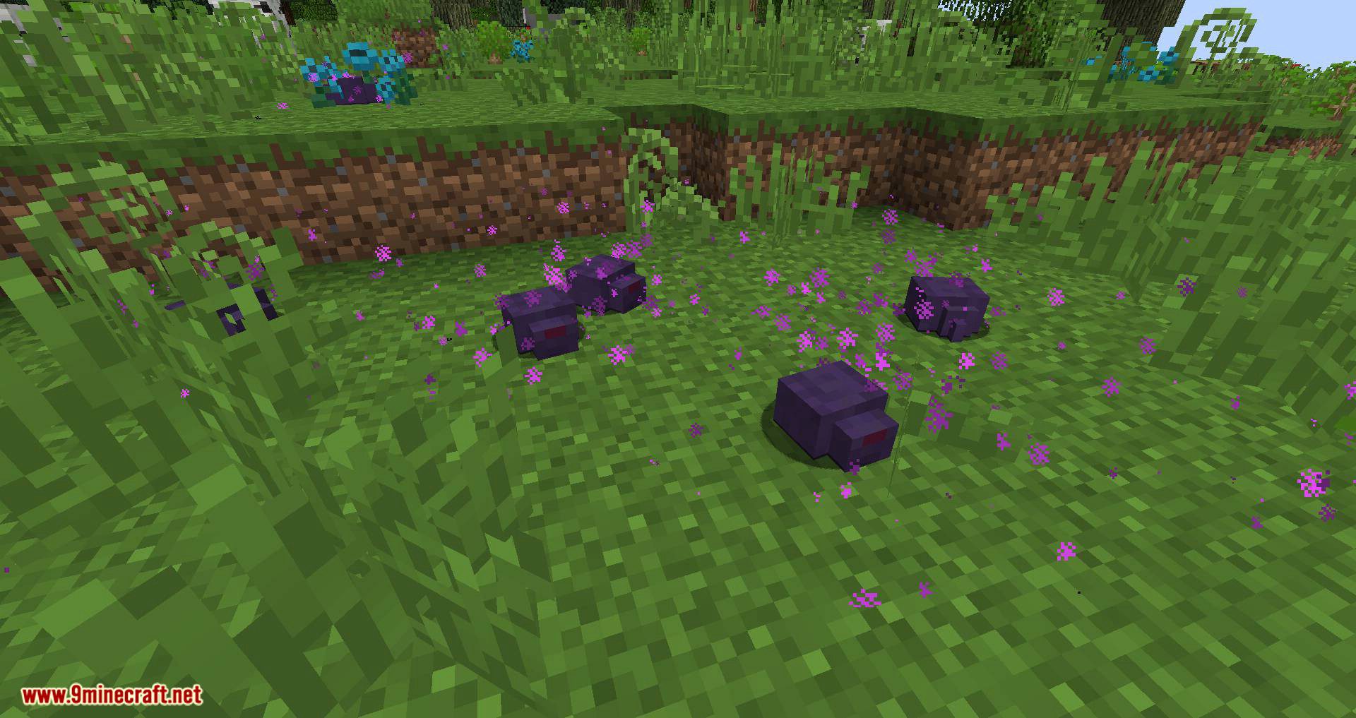 Friendly Endermite Mod 1.17.1/1.16.5 (Enderman Will Not Attack