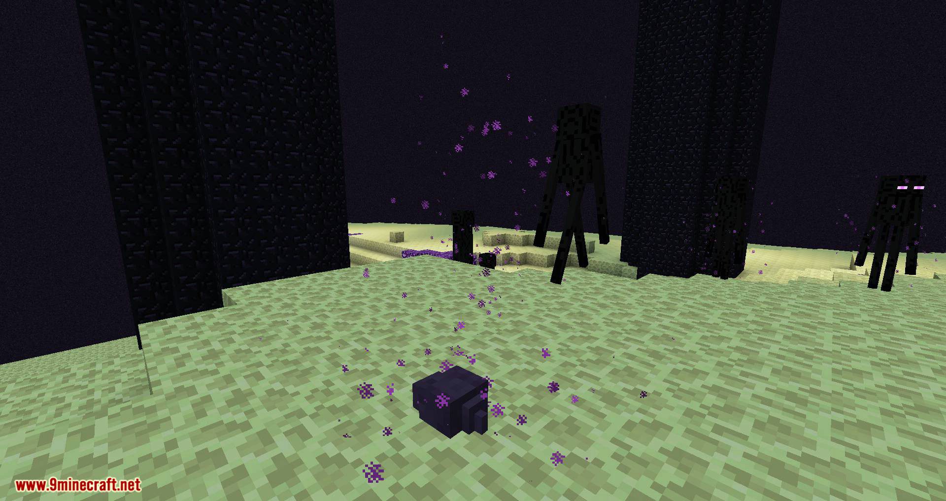 Friendly Endermite Mod 1.16.4/1.15.2 (Enderman Will Not Attack