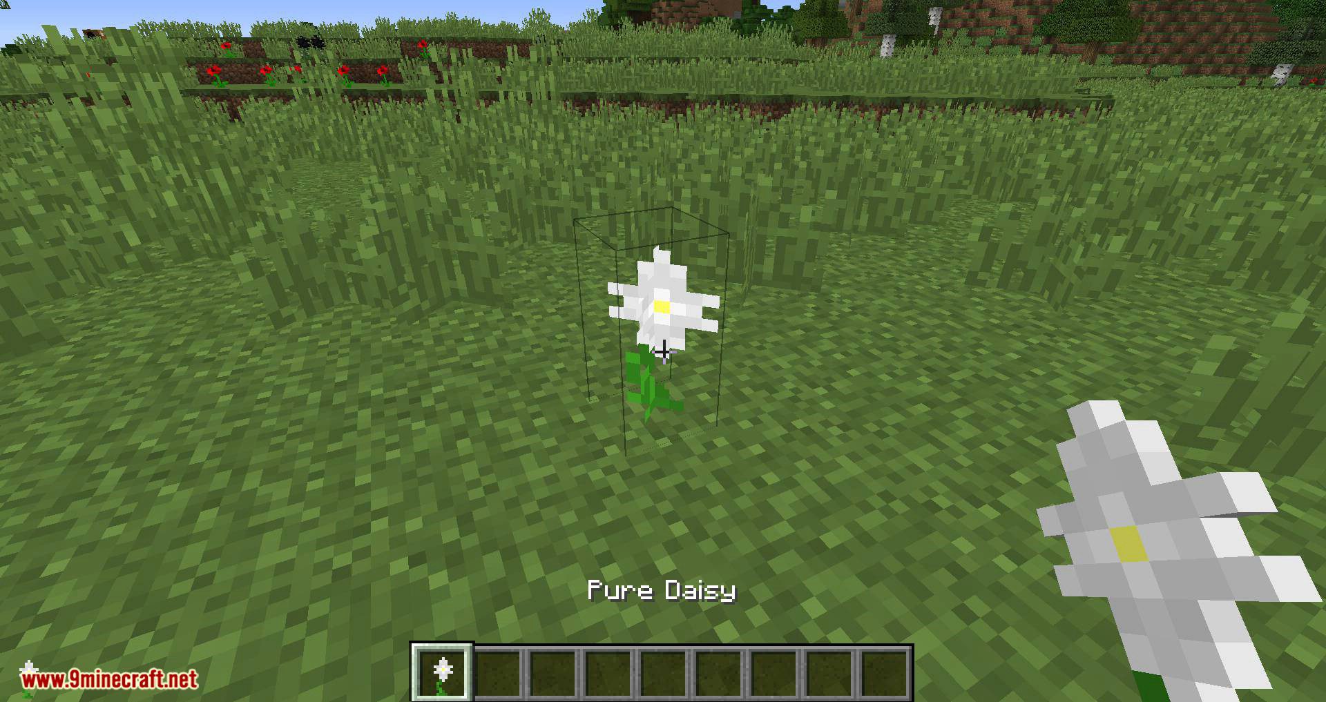 Whoops Mod 1.15.2/1.14.4 (Rightclick Blocks onto the Pure Daisy
