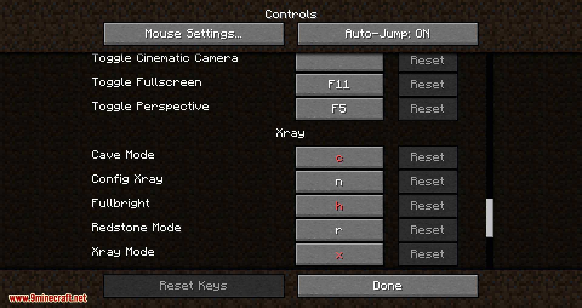 ATE48's XRay Mod 1.15.2/1.13.2 (What Gets You More Diamonds than This