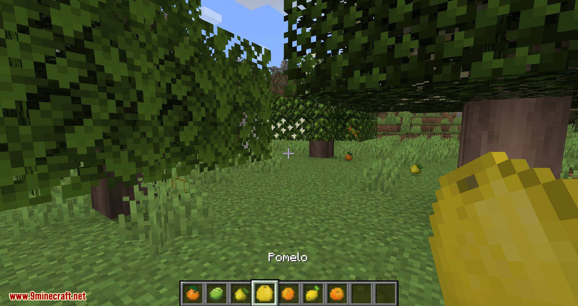 Fruit Trees Mod 1.16.5/1.15.2 (Orange, Lemon, Lime, Mandarin