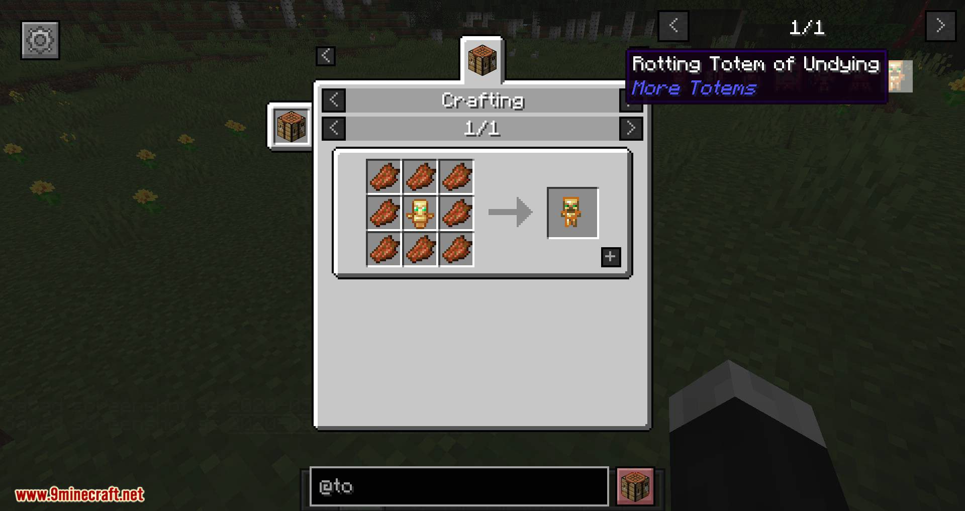 More Totems Of Undying Mod 1.16.4/1.15.2 (More Ways to Revive