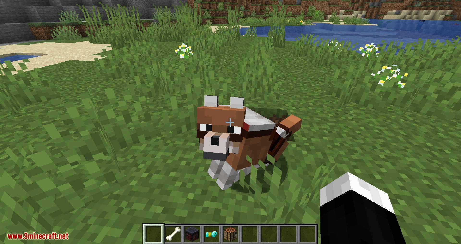 Wolves With Armor Mod 1.17/1.16.5 (Armors for Your Best