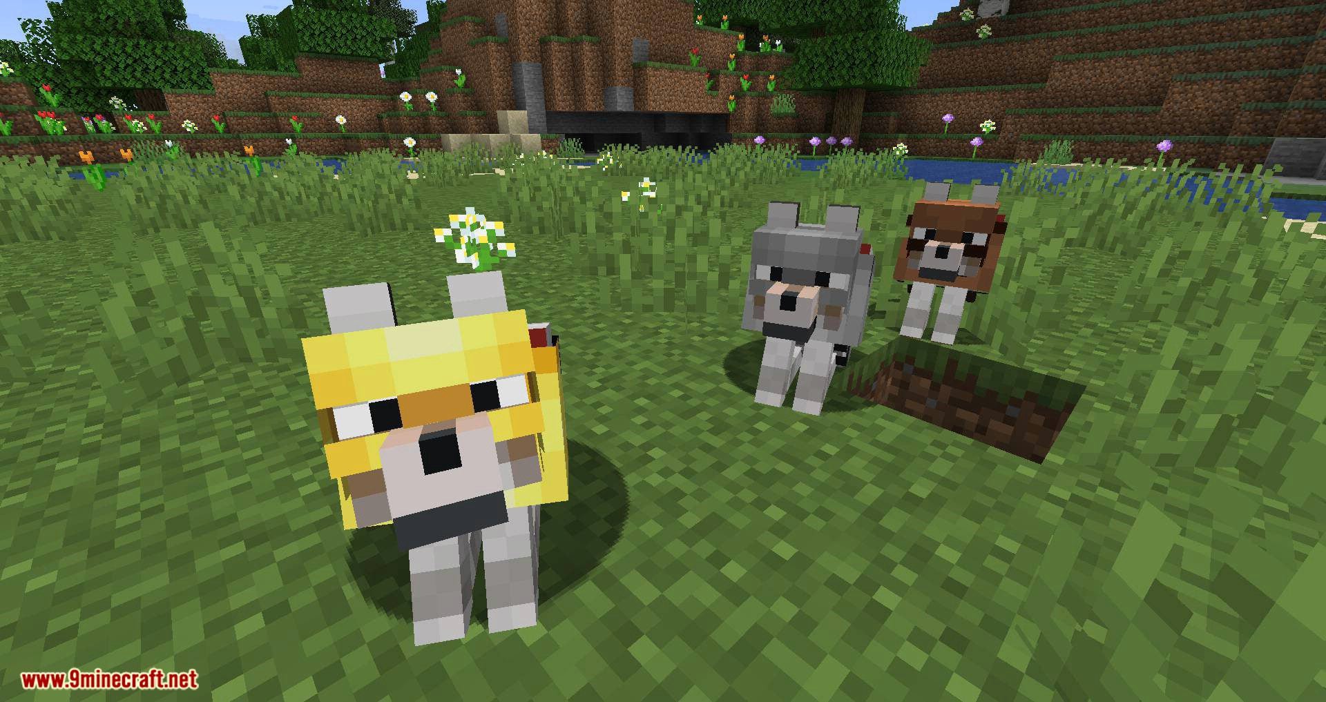 Wolves With Armor Mod 1.17/1.16.5 (Armors for Your Best Friend
