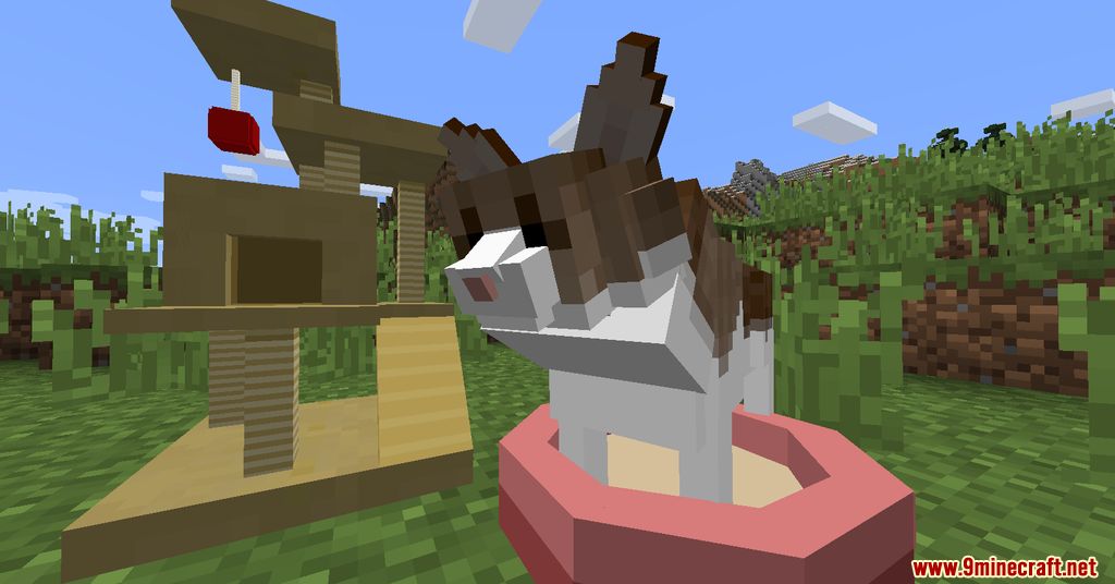 Animania Cats and Dogs Mod 1.12.2 Animals)