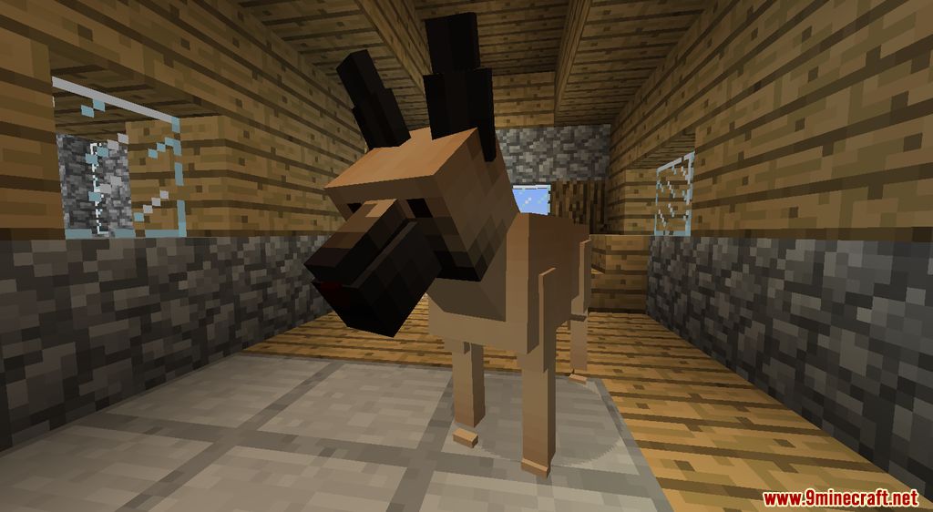 Animania Cats and Dogs Mod 1.12.2 Animals)