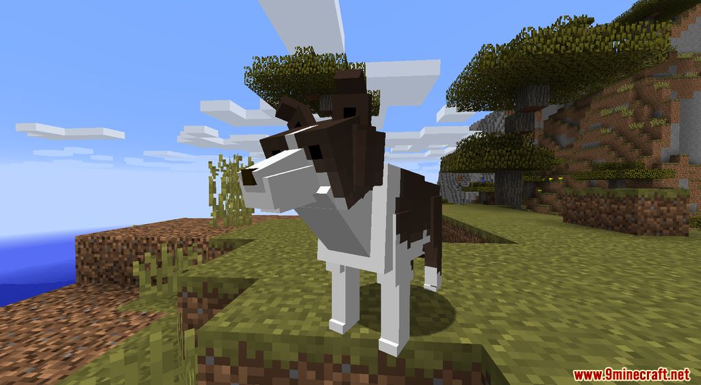 Animania Cats and Dogs Mod 1.12.2 Animals)